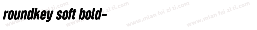 roundkey soft bold字体转换